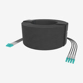 G202 Series - 4 Core