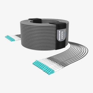 G202 Multi-mode 12-core