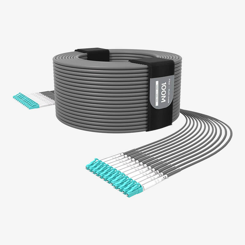 G202 Multi-mode 12-core