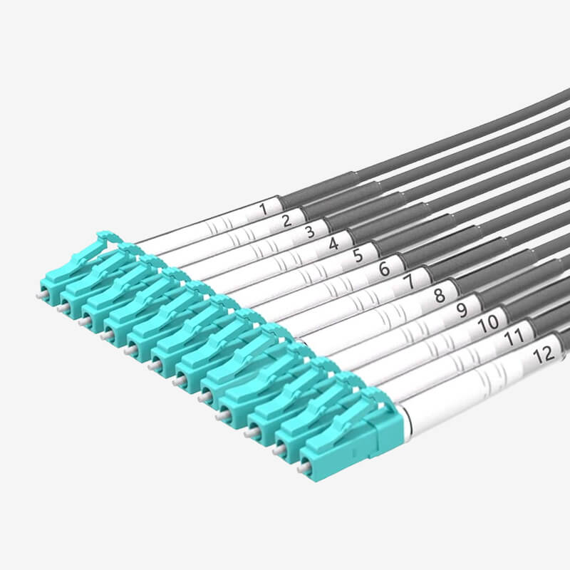 G202 Multi-mode 12-core