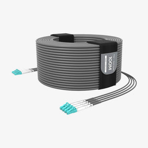 G202 Multi-mode 4-core