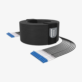 G202 Single-mode 12-core