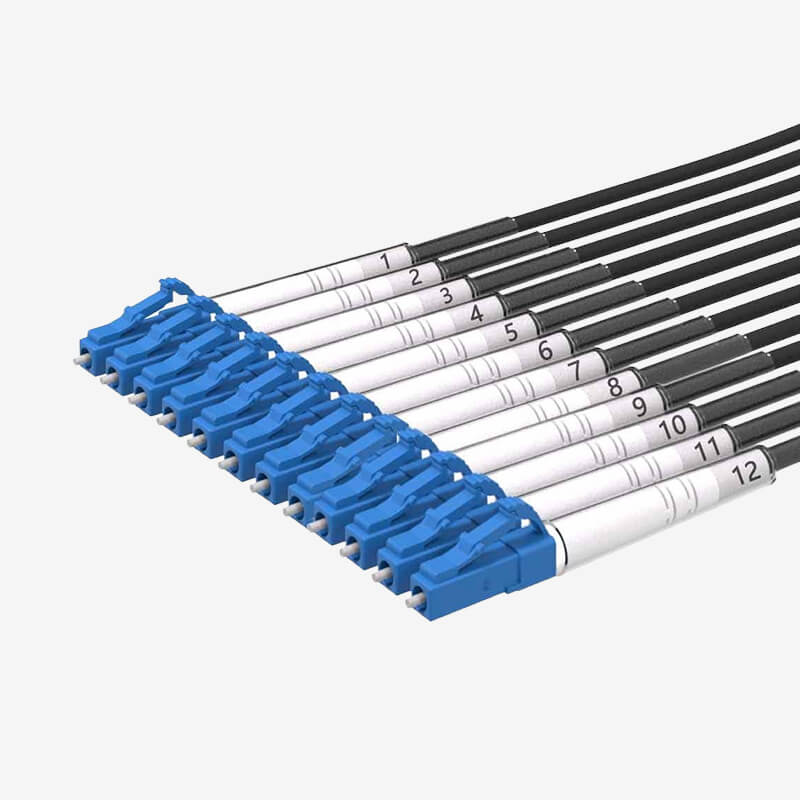 G202 Single-mode 12-core