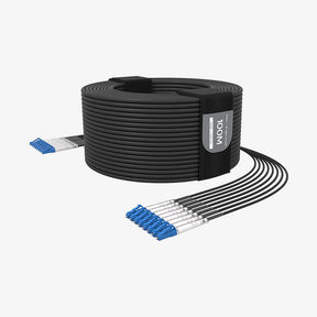 G202 Single-mode 8-core