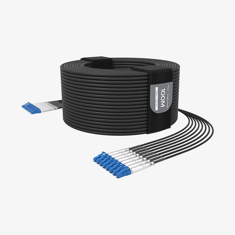 G202 Single-mode 8-core