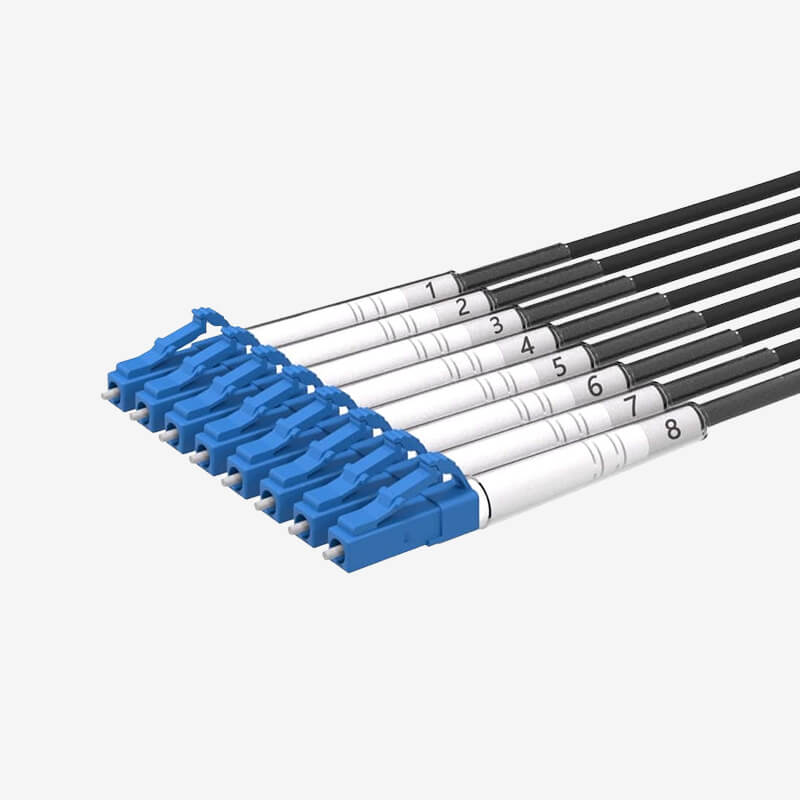 G202 Single-mode 8-core