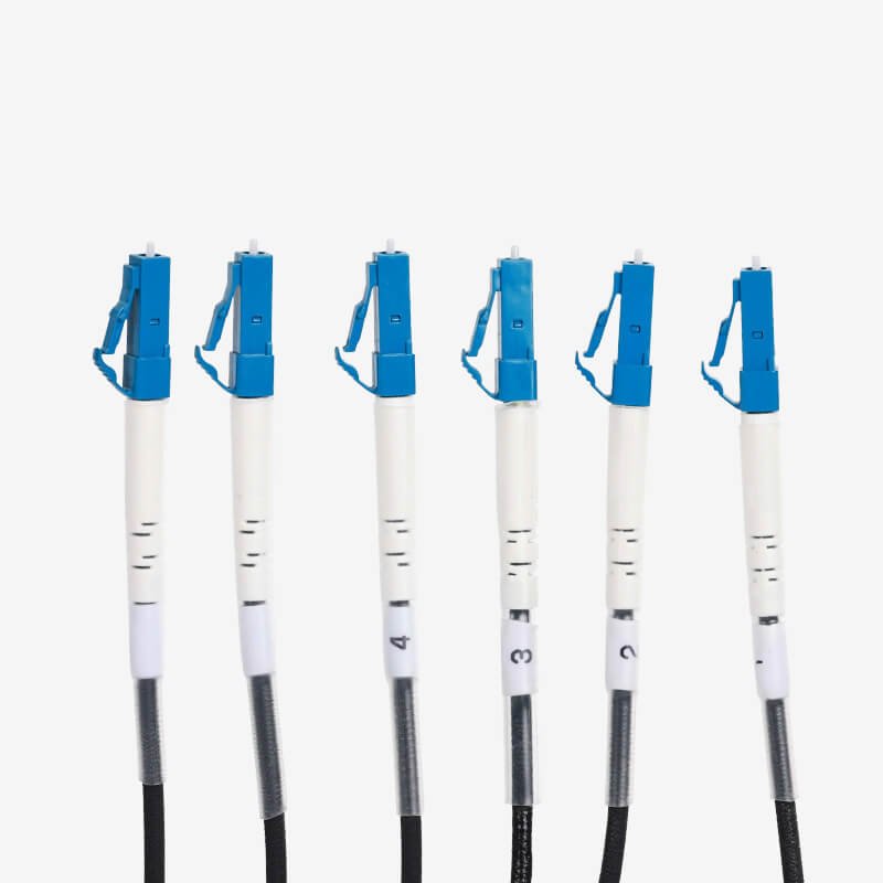 G300 Single-mode 6-core