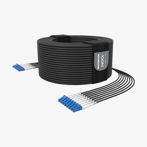 G300 Single-mode 8-core