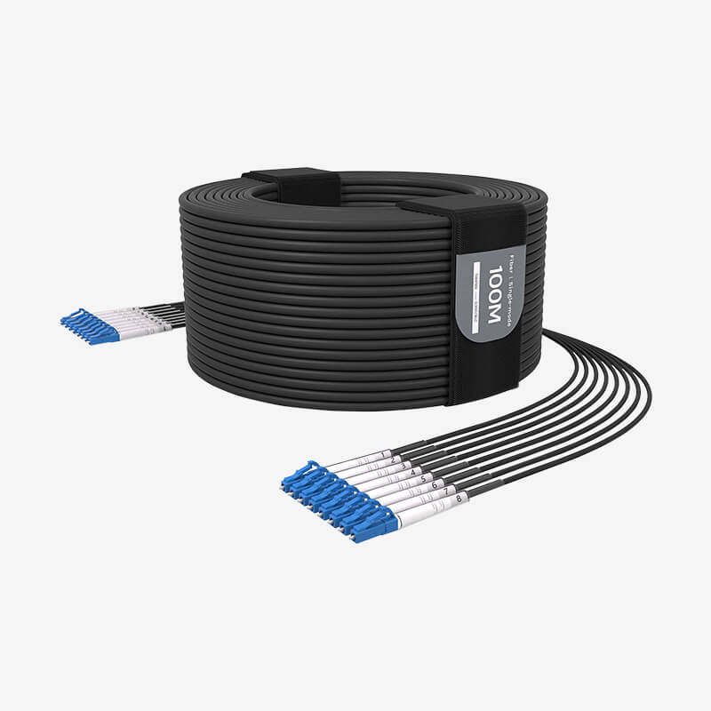 G300 Single-mode 8-core