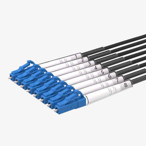 G300 Single-mode 8-core