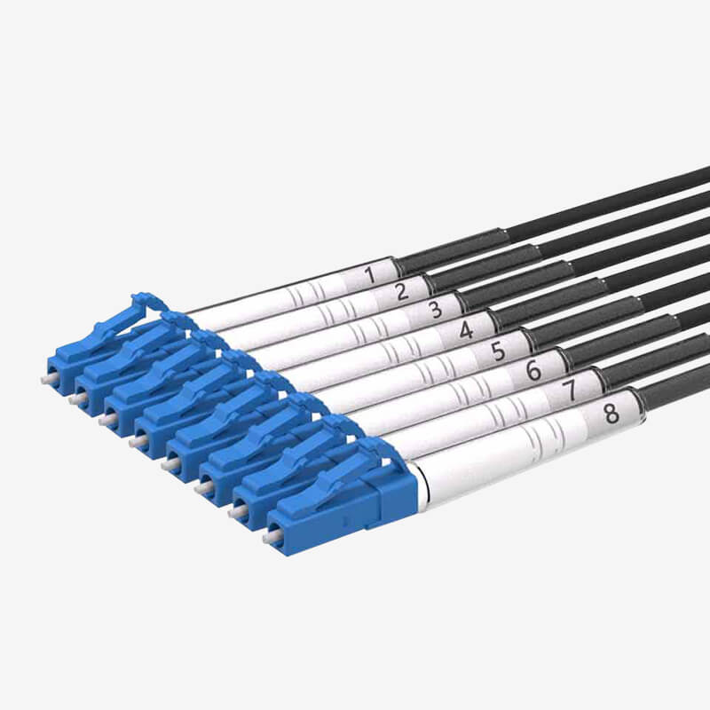 G300 Single-mode 8-core